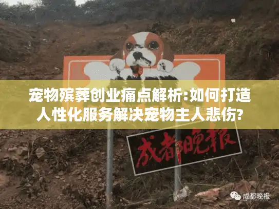 宠物殡葬创业痛点解析:如何打造人性化服务解决宠物主人悲伤?