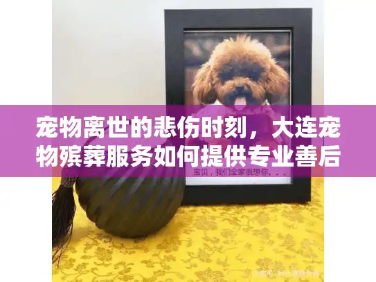 宠物离世的悲伤时刻，大连宠物殡葬服务如何提供专业善后？