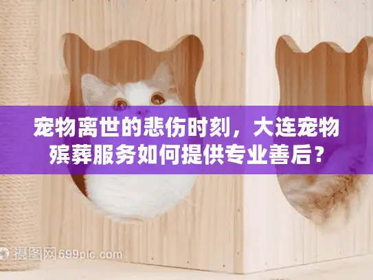 宠物离世的悲伤时刻，大连宠物殡葬服务如何提供专业善后？