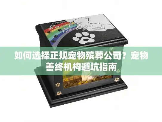 如何选择正规宠物殡葬公司？宠物善终机构避坑指南