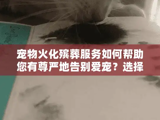 宠物火化殡葬服务如何帮助您有尊严地告别爱宠？选择指南与暖心解答