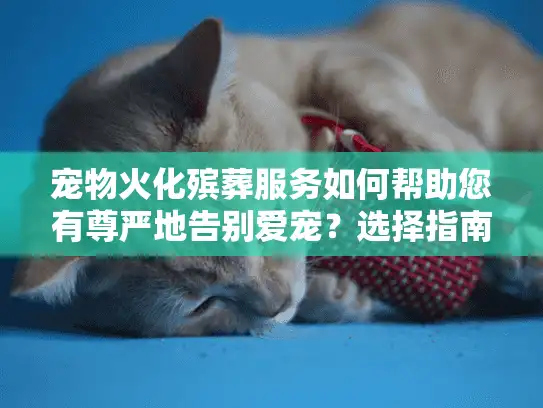 宠物火化殡葬服务如何帮助您有尊严地告别爱宠？选择指南与暖心解答