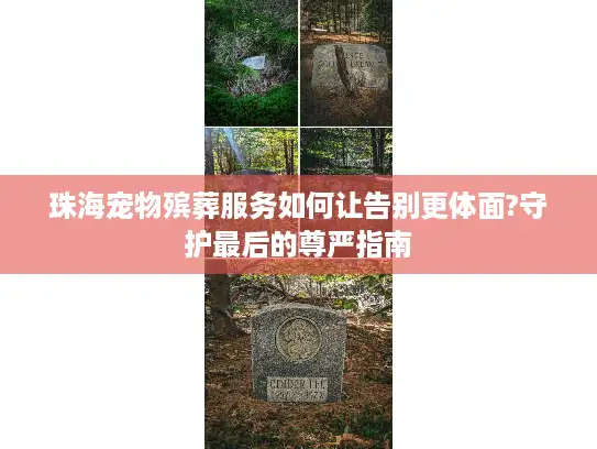 珠海宠物殡葬服务如何让告别更体面?守护最后的尊严指南