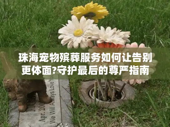 珠海宠物殡葬服务如何让告别更体面?守护最后的尊严指南