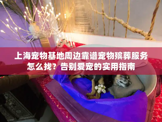 上海宠物基地周边靠谱宠物殡葬服务怎么找？告别爱宠的实用指南