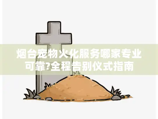 烟台宠物火化服务哪家专业可靠?全程告别仪式指南