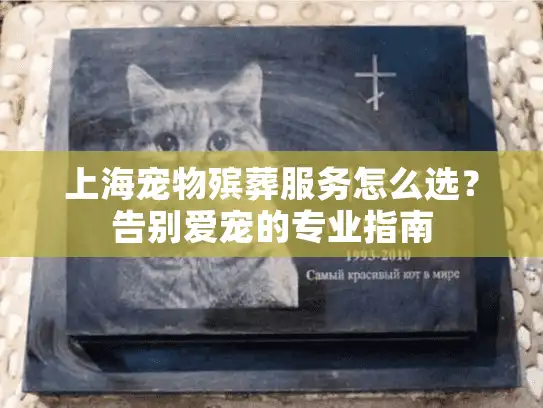 上海宠物殡葬服务怎么选？告别爱宠的专业指南