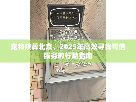 宠物殡葬北京，2025年高效寻找可信服务的行动指南