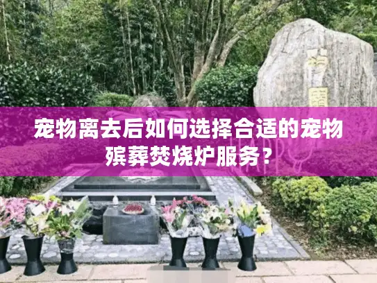宠物离去后如何选择合适的宠物殡葬焚烧炉服务？