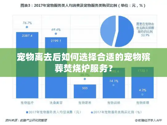 宠物离去后如何选择合适的宠物殡葬焚烧炉服务？