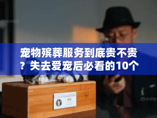 宠物殡葬服务到底贵不贵？失去爱宠后必看的10个避坑指南