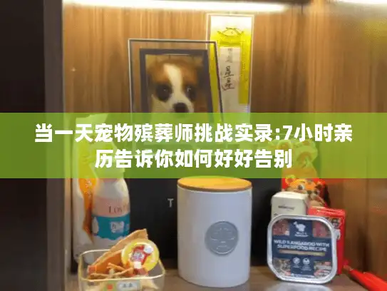 当一天宠物殡葬师挑战实录:7小时亲历告诉你如何好好告别