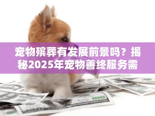 宠物殡葬有发展前景吗？揭秘2025年宠物善终服务需求趋势