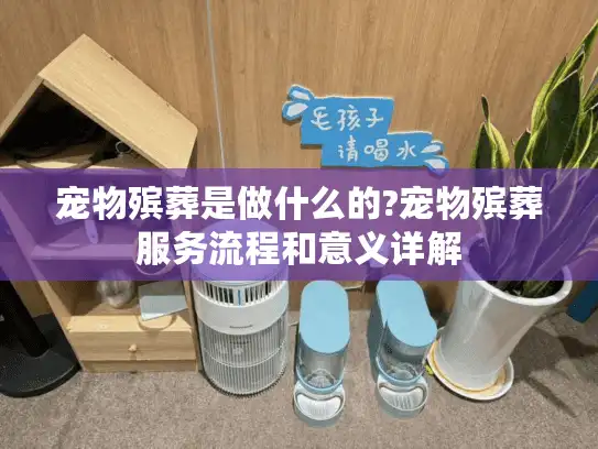 宠物殡葬是做什么的?宠物殡葬服务流程和意义详解