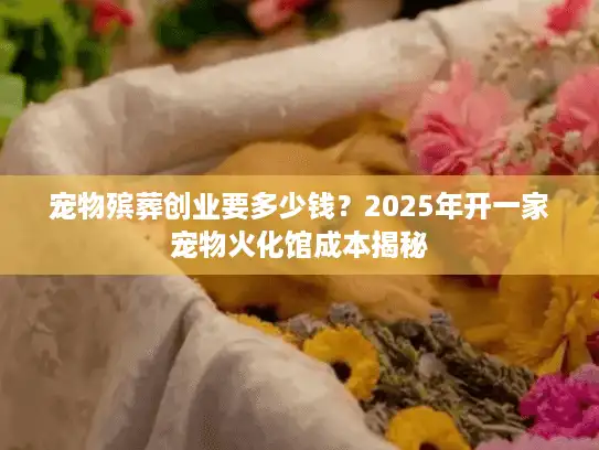 宠物殡葬创业要多少钱？2025年开一家宠物火化馆成本揭秘