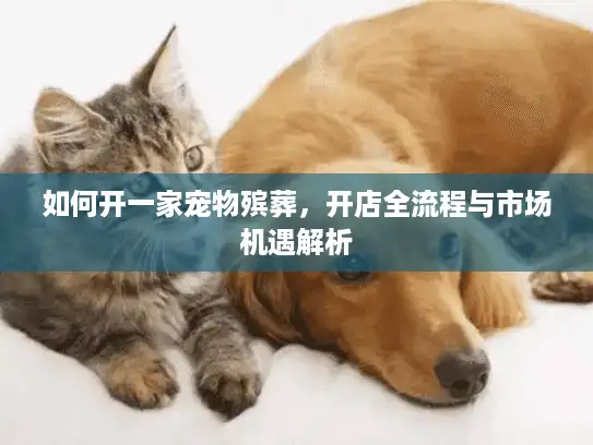 如何开一家宠物殡葬，开店全流程与市场机遇解析
