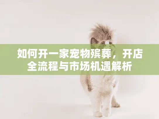 如何开一家宠物殡葬，开店全流程与市场机遇解析