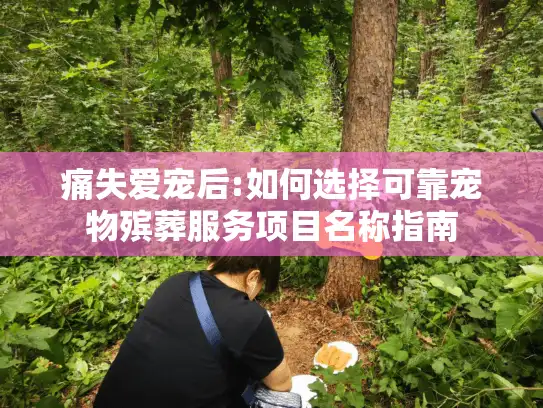 痛失爱宠后:如何选择可靠宠物殡葬服务项目名称指南