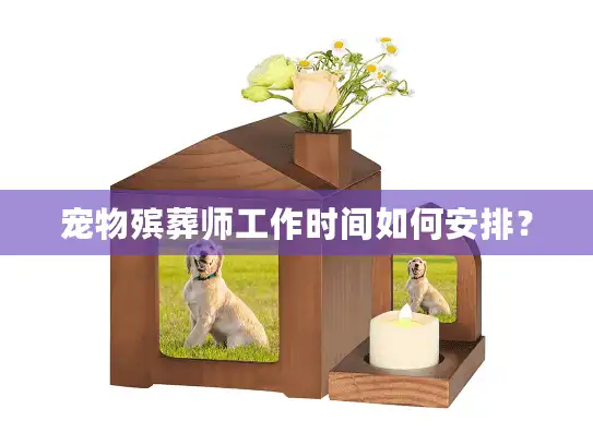 宠物殡葬师工作时间如何安排？