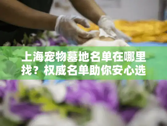 上海宠物墓地名单在哪里找？权威名单助你安心选择
