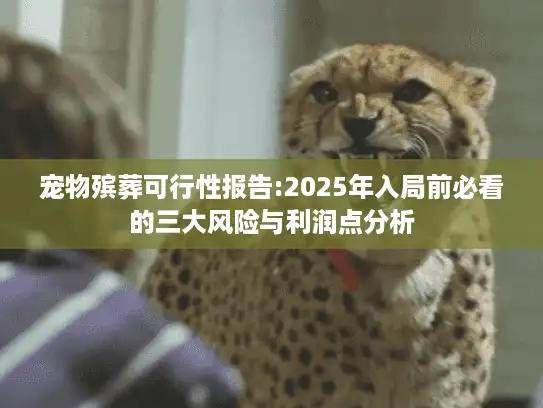 宠物殡葬可行性报告:2025年入局前必看的三大风险与利润点分析