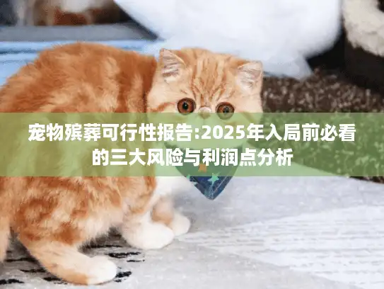 宠物殡葬可行性报告:2025年入局前必看的三大风险与利润点分析