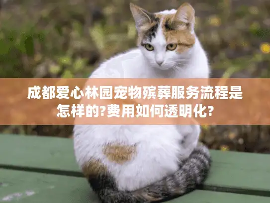成都爱心林园宠物殡葬服务流程是怎样的?费用如何透明化?