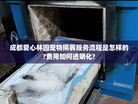 成都爱心林园宠物殡葬服务流程是怎样的?费用如何透明化?