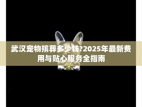 武汉宠物殡葬多少钱?2025年最新费用与贴心服务全指南