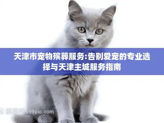 天津市宠物殡葬服务:告别爱宠的专业选择与天津主城服务指南