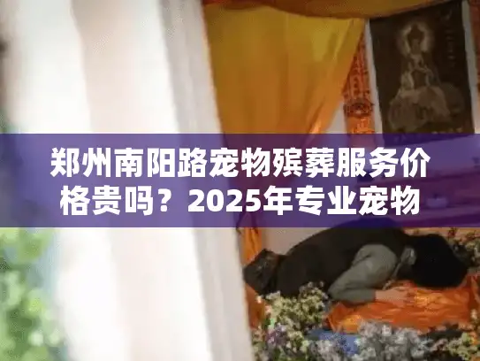 郑州南阳路宠物殡葬服务价格贵吗？2025年专业宠物安葬指南来了！