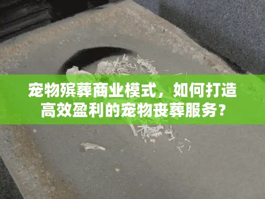 宠物殡葬商业模式，如何打造高效盈利的宠物丧葬服务？