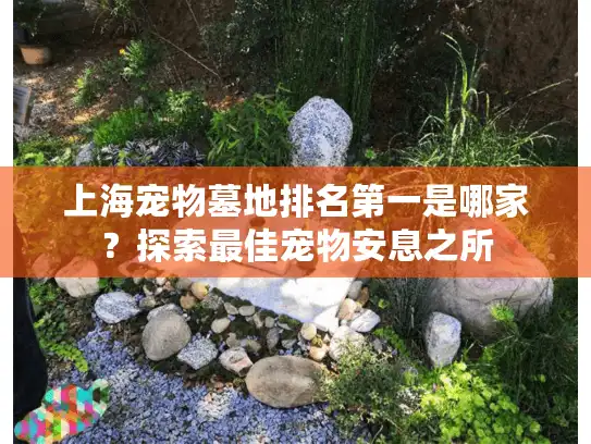 上海宠物墓地排名第一是哪家？探索最佳宠物安息之所