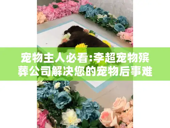 宠物主人必看:李超宠物殡葬公司解决您的宠物后事难题!