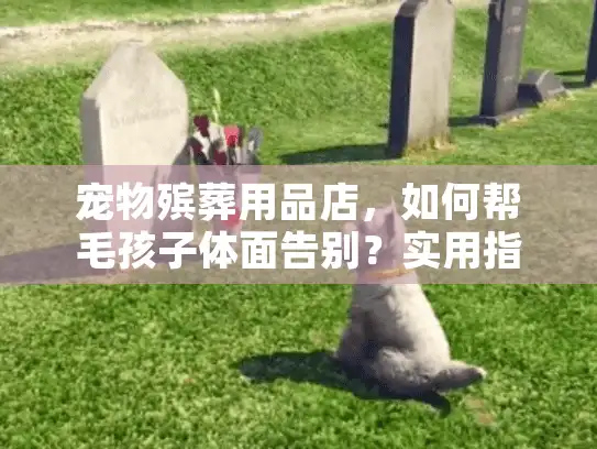 宠物殡葬用品店，如何帮毛孩子体面告别？实用指南+避坑清单