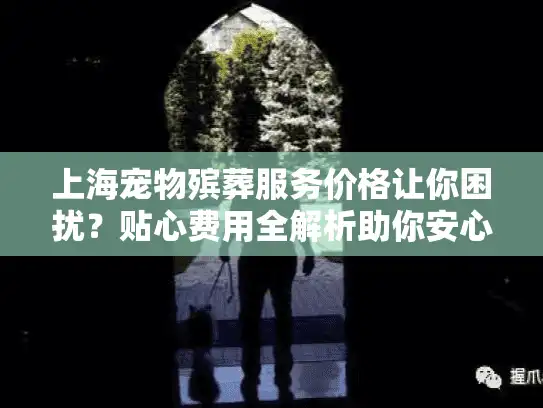 上海宠物殡葬服务价格让你困扰？贴心费用全解析助你安心告别
