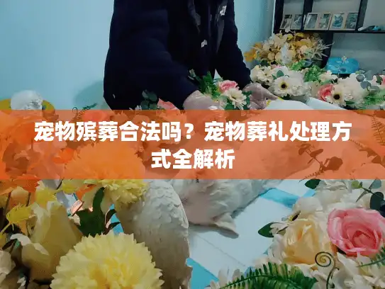 宠物殡葬合法吗？宠物葬礼处理方式全解析