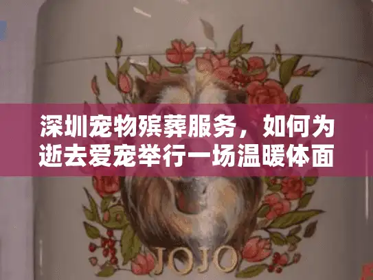 深圳宠物殡葬服务，如何为逝去爱宠举行一场温暖体面的告别？