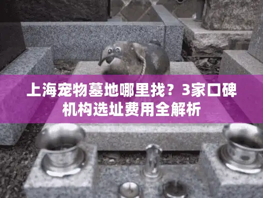 上海宠物墓地哪里找？3家口碑机构选址费用全解析