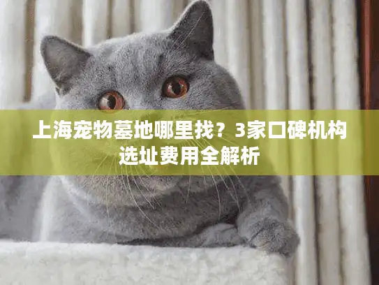 上海宠物墓地哪里找？3家口碑机构选址费用全解析