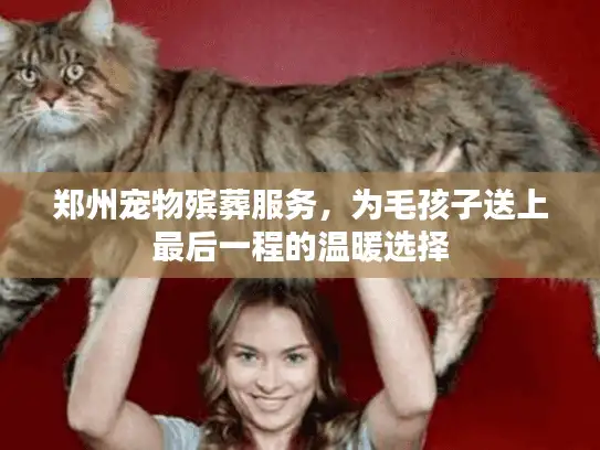郑州宠物殡葬服务，为毛孩子送上最后一程的温暖选择