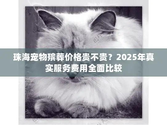 珠海宠物殡葬价格贵不贵？2025年真实服务费用全面比较