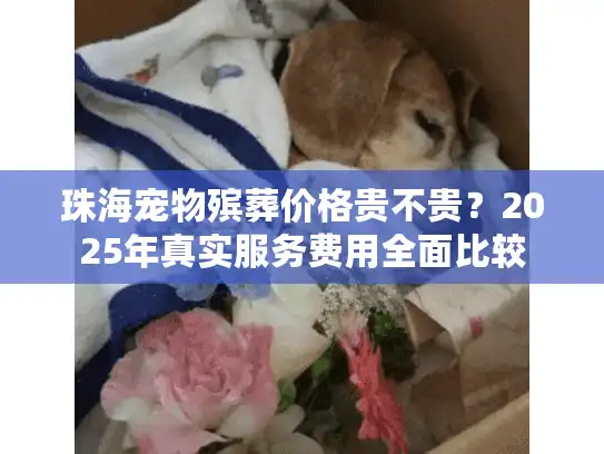 珠海宠物殡葬价格贵不贵？2025年真实服务费用全面比较