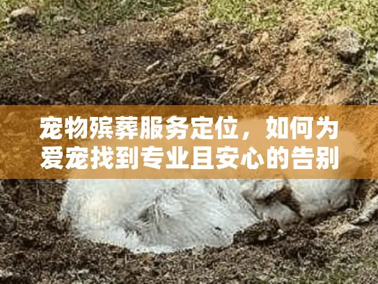 宠物殡葬服务定位，如何为爱宠找到专业且安心的告别方案？