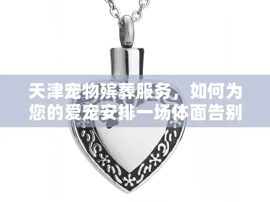 天津宠物殡葬服务，如何为您的爱宠安排一场体面告别？