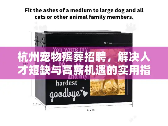 杭州宠物殡葬招聘，解决人才短缺与高薪机遇的实用指南