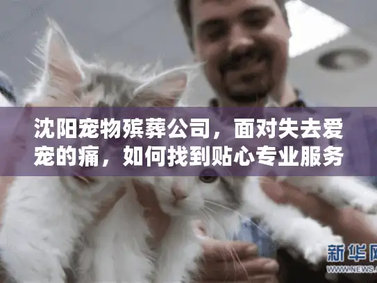 沈阳宠物殡葬公司，面对失去爱宠的痛，如何找到贴心专业服务？