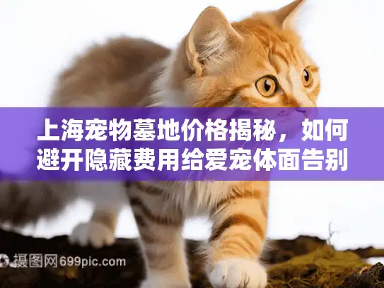 上海宠物墓地价格揭秘，如何避开隐藏费用给爱宠体面告别