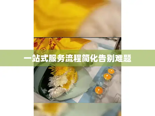 一站式服务流程简化告别难题