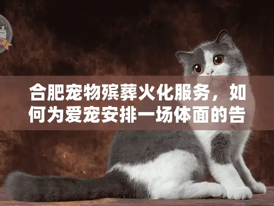 合肥宠物殡葬火化服务，如何为爱宠安排一场体面的告别
